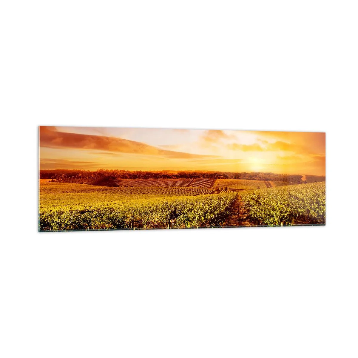 Tablou pe sticlă - Cu un iz de fructe, cu o notă de soare - 160x50 cm