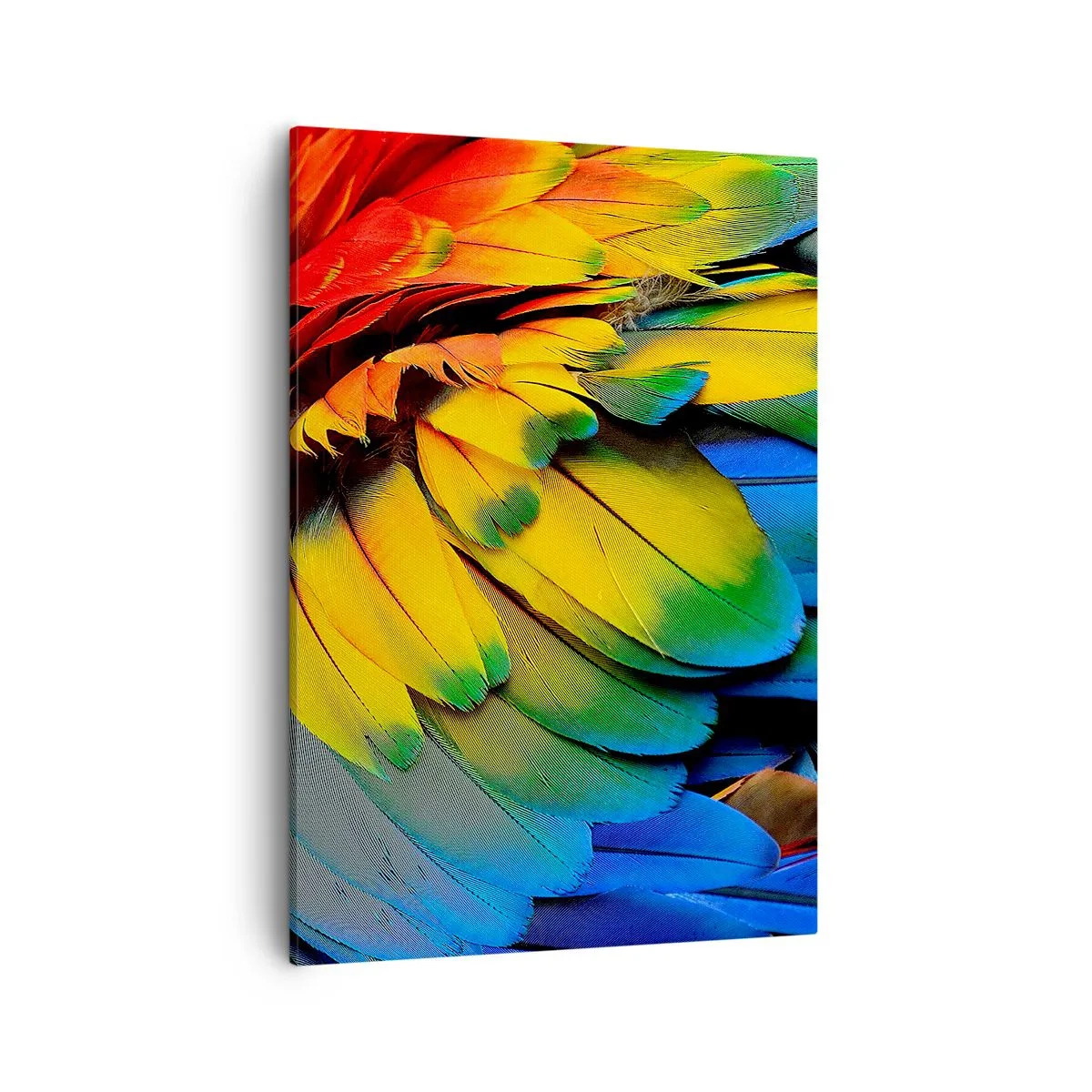 Tablou pe pânză - Pasăre de paradis - 50x70 cm