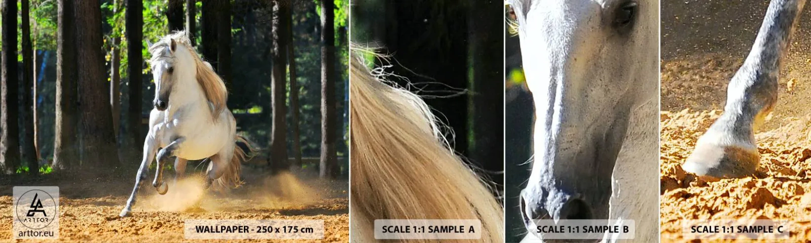 Mostră tapet autocolant Deluxe Sticker - Ca într-un roman fantastic - Animale, Cal, Peisaj - 100x30 cm