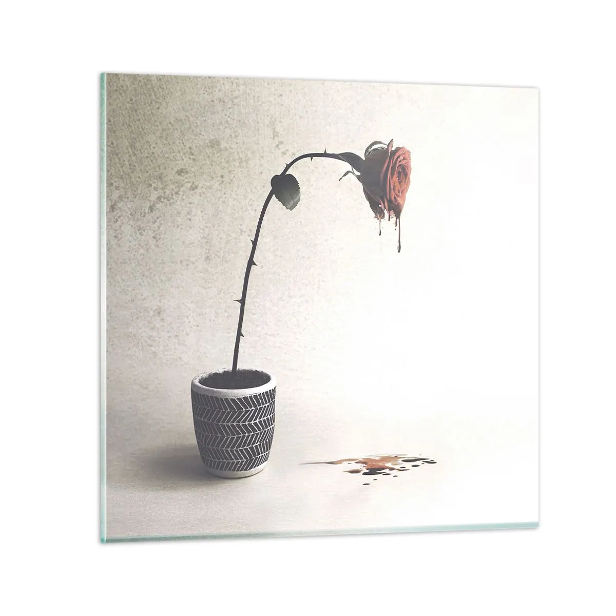 Tablou pe sticlă - Rosa dolorosa - 30x30 cm