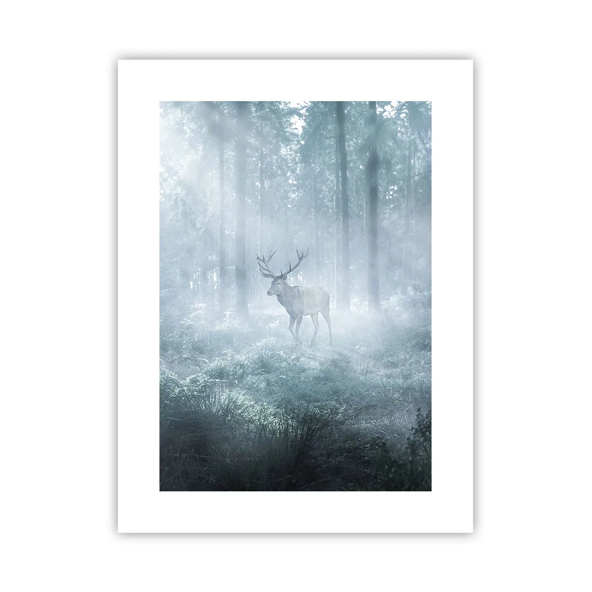 Poster - Plimbarea de dimineață prin regat - 30x40 cm