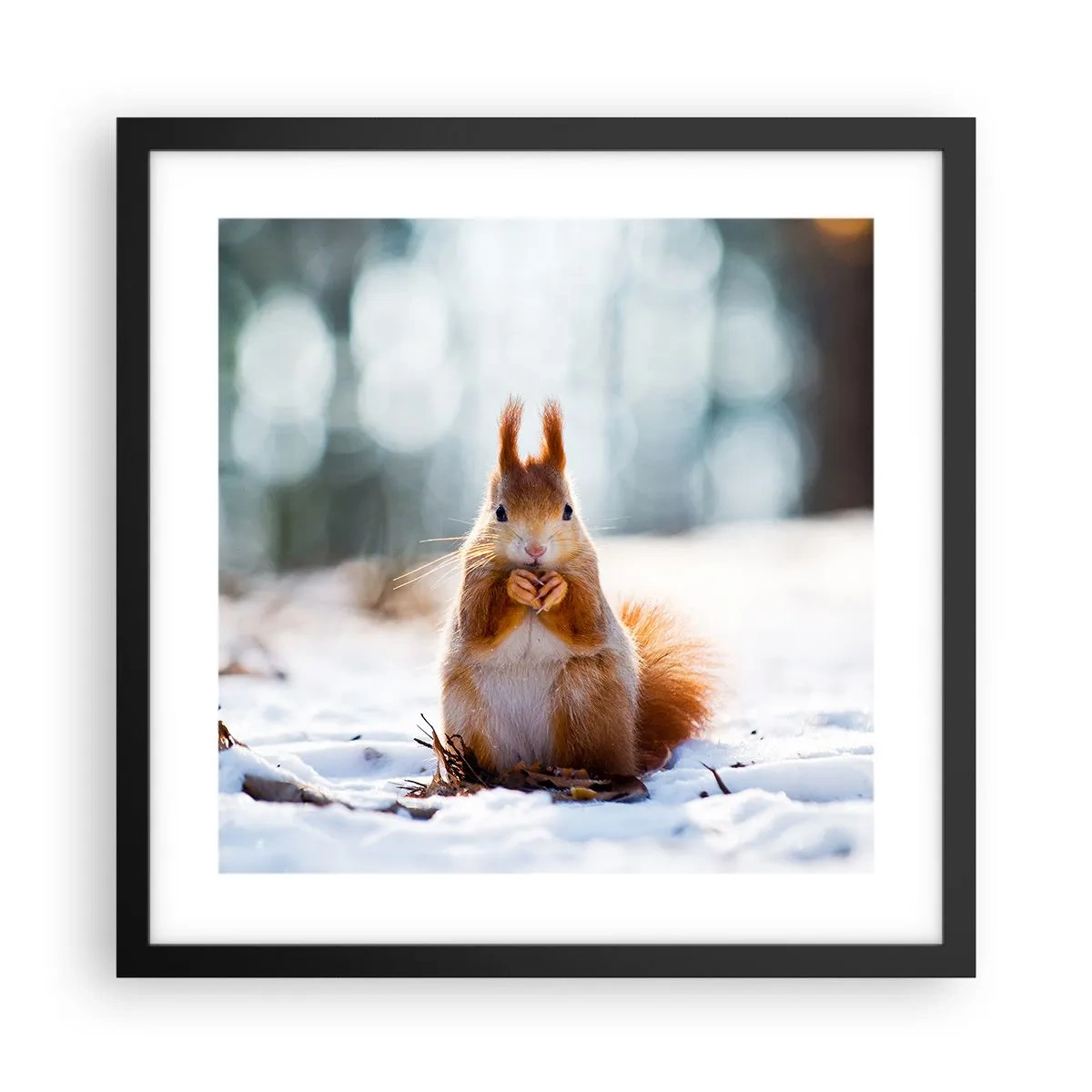 Poster în ramă neagră - Și la ce te uiți? - 40x40 cm