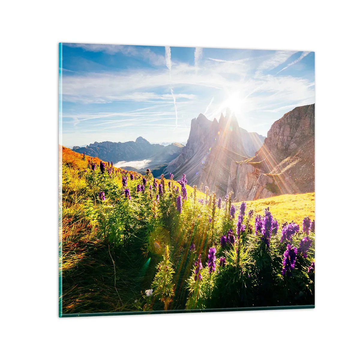 Tablou pe sticlă - Viața secretă a ierburilor - 60x60 cm