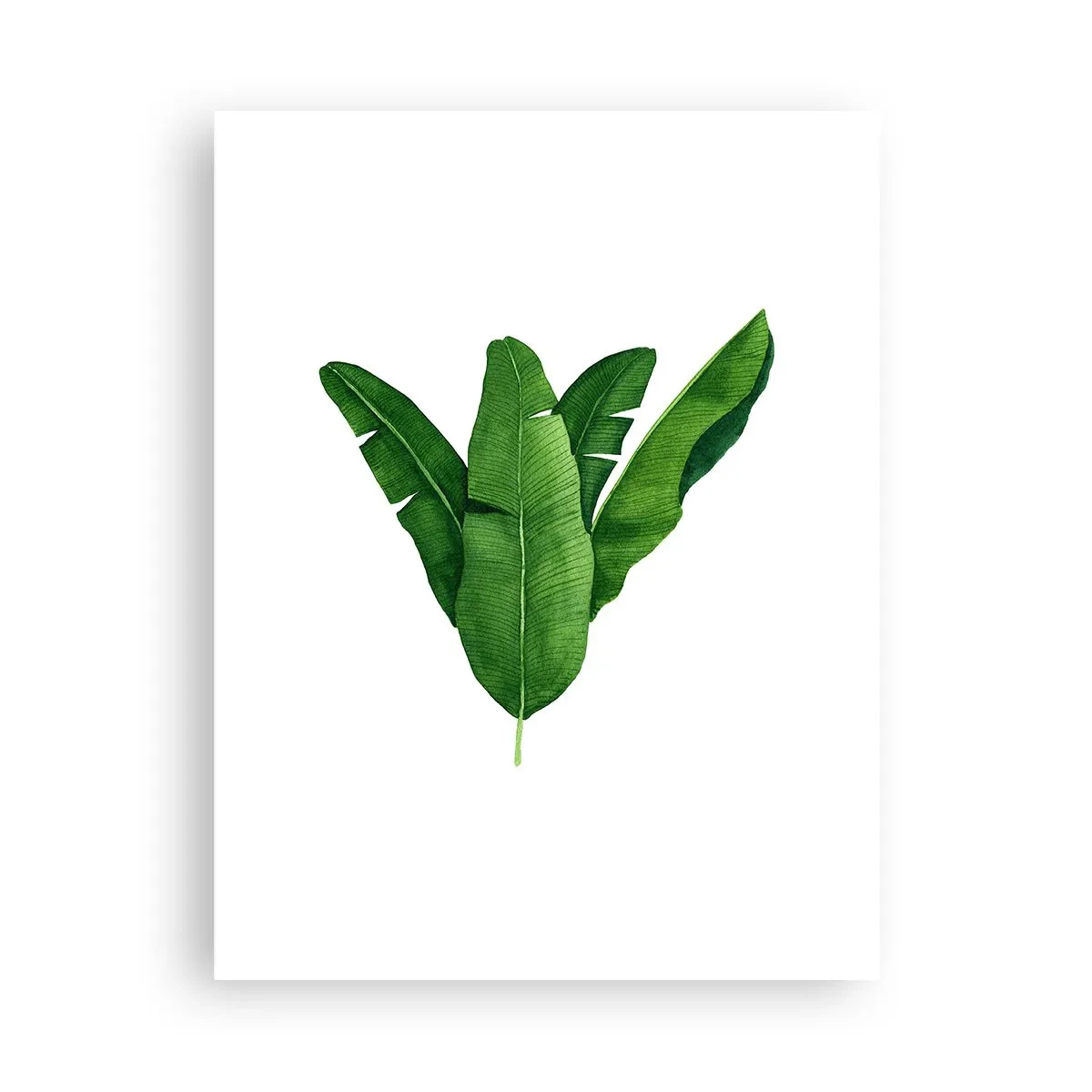 Poster - Simetrie verde - 30x40 cm