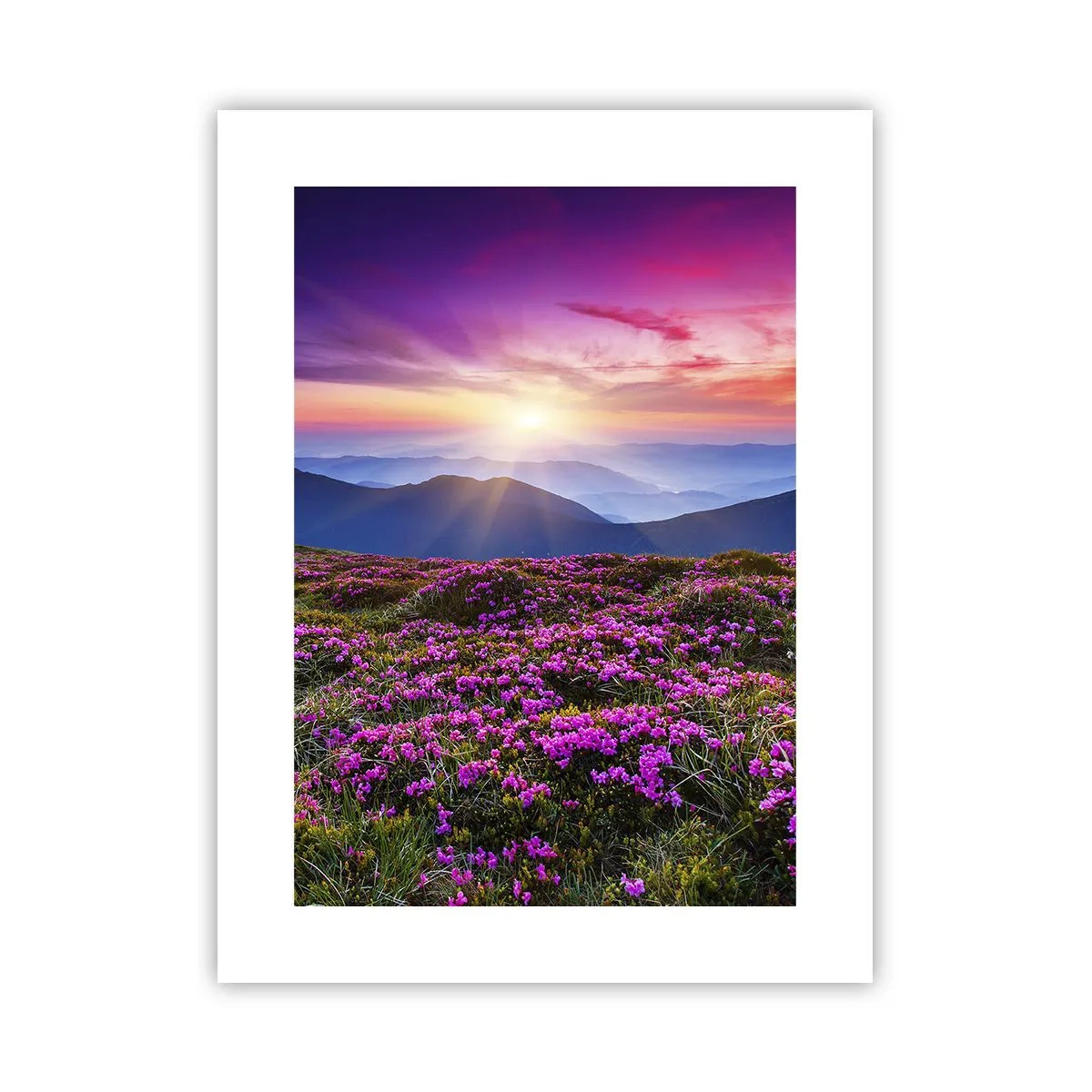 Poster - Ierburile proaspete miroseau puternic - 30x40 cm