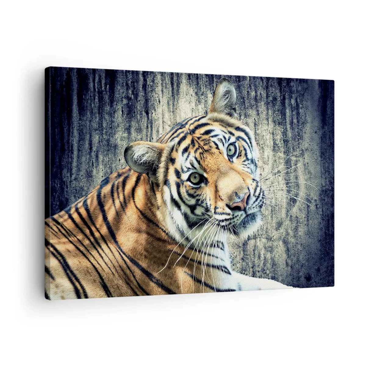 Tablou pe pânză Canvas - Un tigru întins pe un perete cu textură aspră - 70x50cm - Portret în fluxuri de lumină - Decorațiune modernă pentru perete pentru living și dormitor ARTTOR