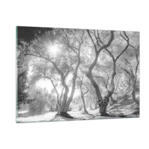 Tablou pe sticlă - Într-o livadă de măslini - 120x80 cm