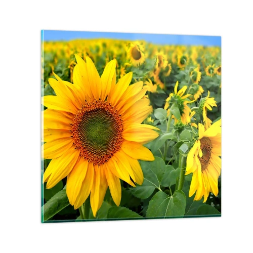 Tablou pe sticlă - Sute de sori se aprind în flăcări - 30x30 cm