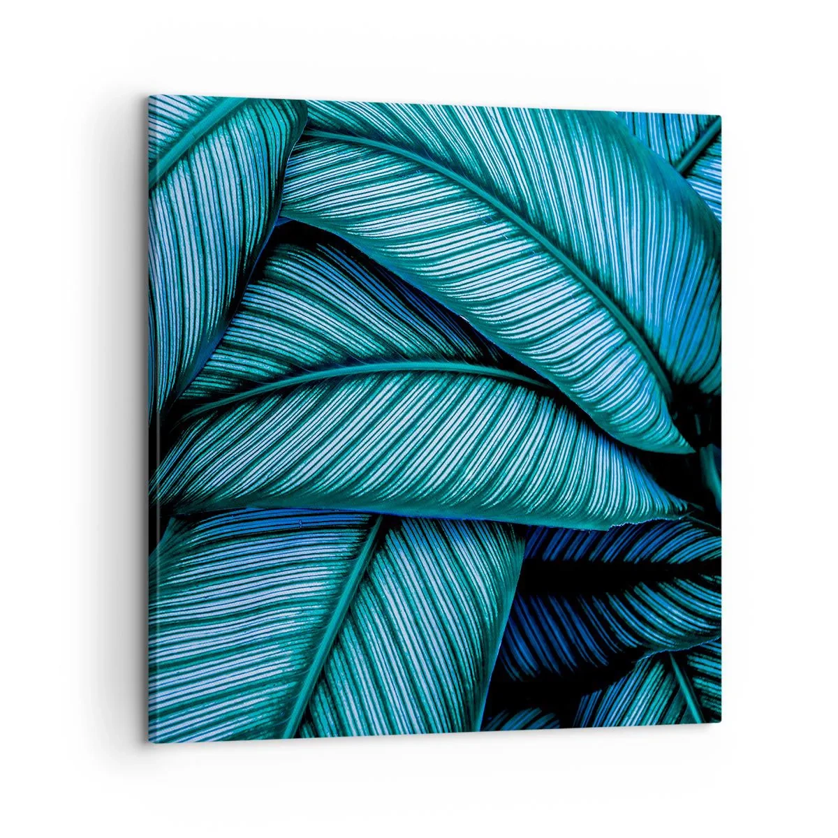 Tablou pe pânză - Linii de viață - 60x60 cm