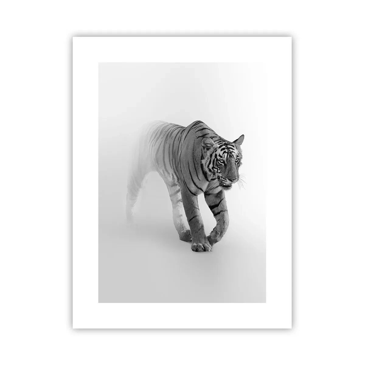 Poster - De veghe în ceață - 30x40 cm