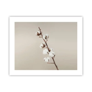 Poster - La sursa moliciunii - 50x40 cm