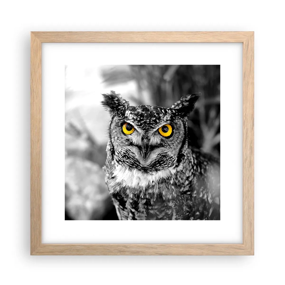 Poster în ramă de stejar deschis - Nimic nu poate fi ascuns - 30x30 cm