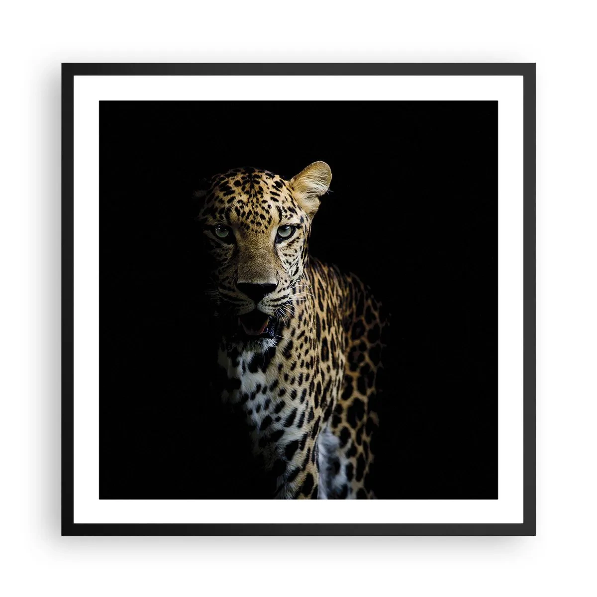Poster în ramă neagră - Frumusețe întunecată - 60x60 cm