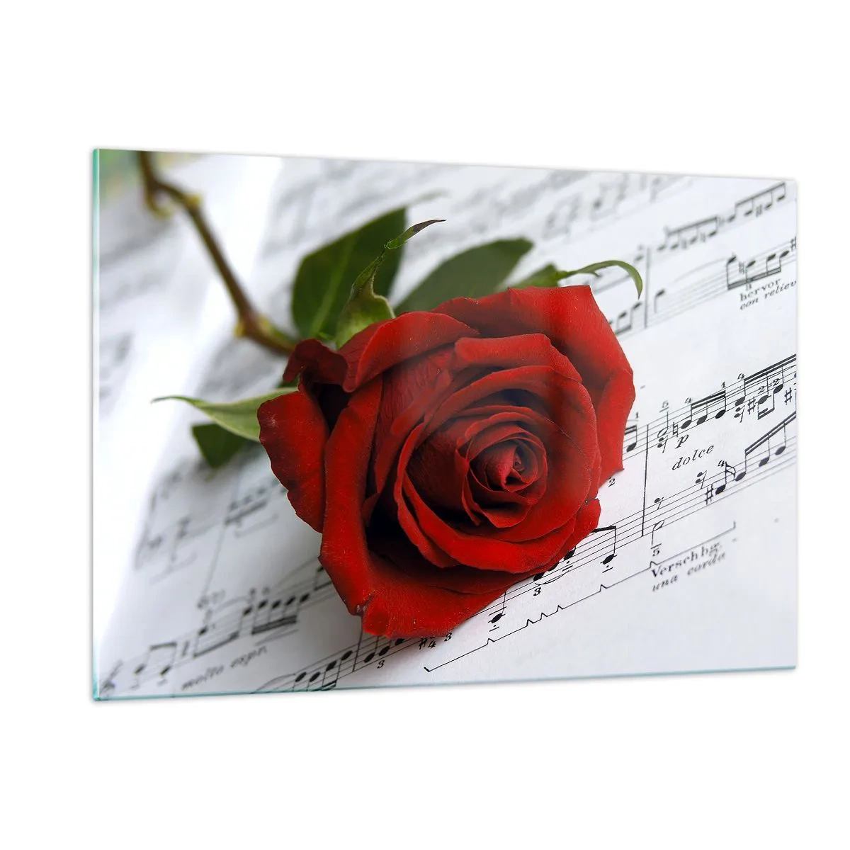 Tablou pe sticlă - Muzica sentimentelor în stacojiu - 120x80 cm