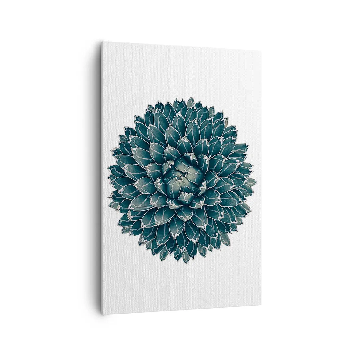 Tablou pe pânză - Steaua deșertului - 80x120 cm