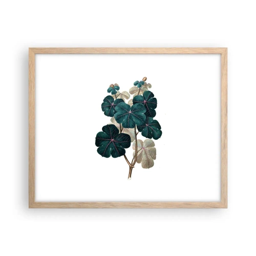 Poster în ramă de stejar deschis - Dintr-un vechi ierbar - 50x40 cm