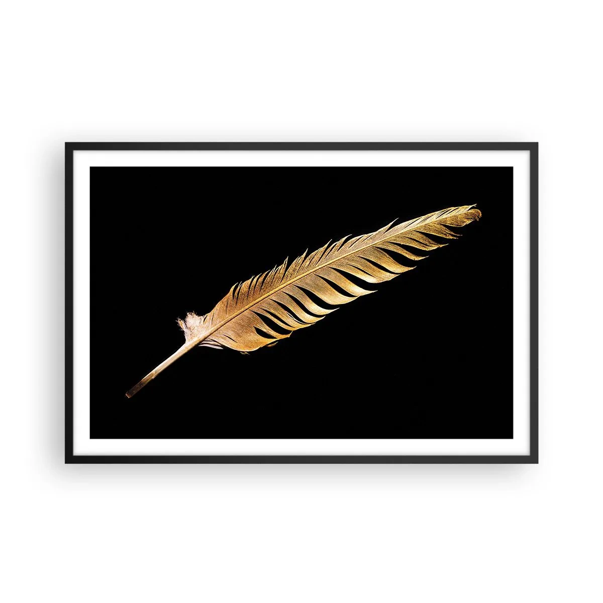 Poster în ramă neagră - Pană aurie perfectă - 91x61 cm