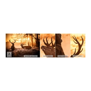 Mostră de Tapet Standard Eco - Visul unui vânător - Peisaj, Cerb, Vânătoare - 100x30 cm