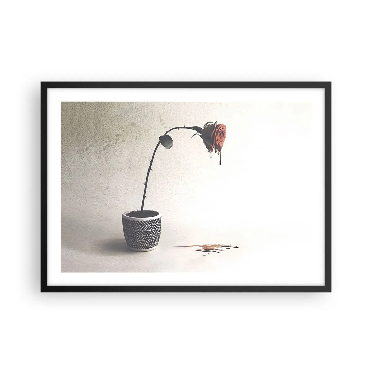 Poster în ramă neagră - Rosa dolorosa - 70x50 cm