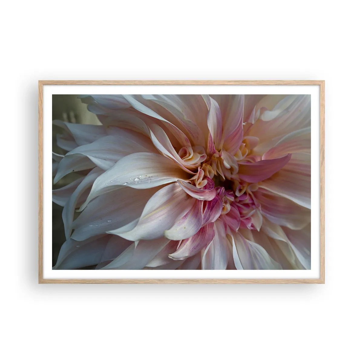 Poster în ramă de stejar deschis - Prospețime înfloritoare - 100x70 cm