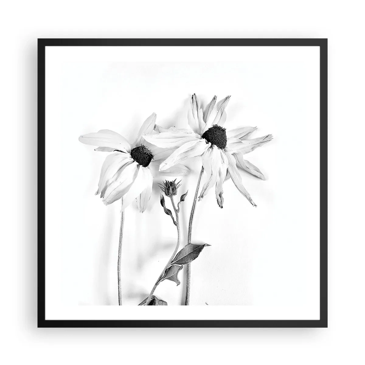 Poster în ramă neagră - Nimeni nu vrea să fie singur - 60x60 cm