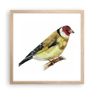 Poster în ramă de stejar deschis - Portret de pasăre - 40x40 cm