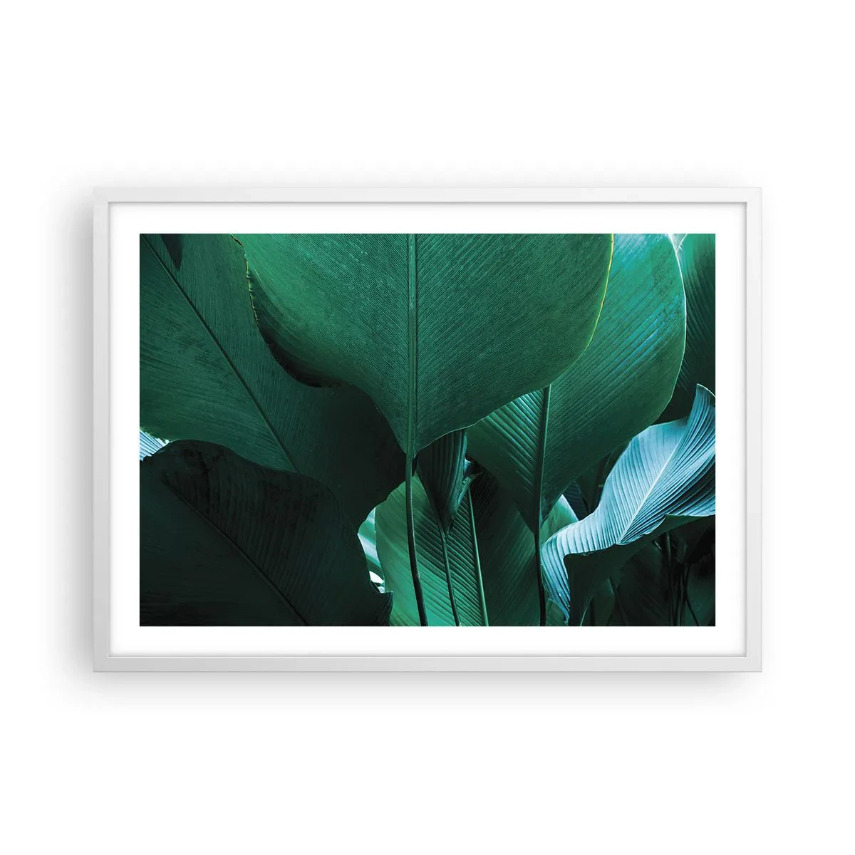 Poster în ramă albă - Cu frunza la lumină - 70x50 cm