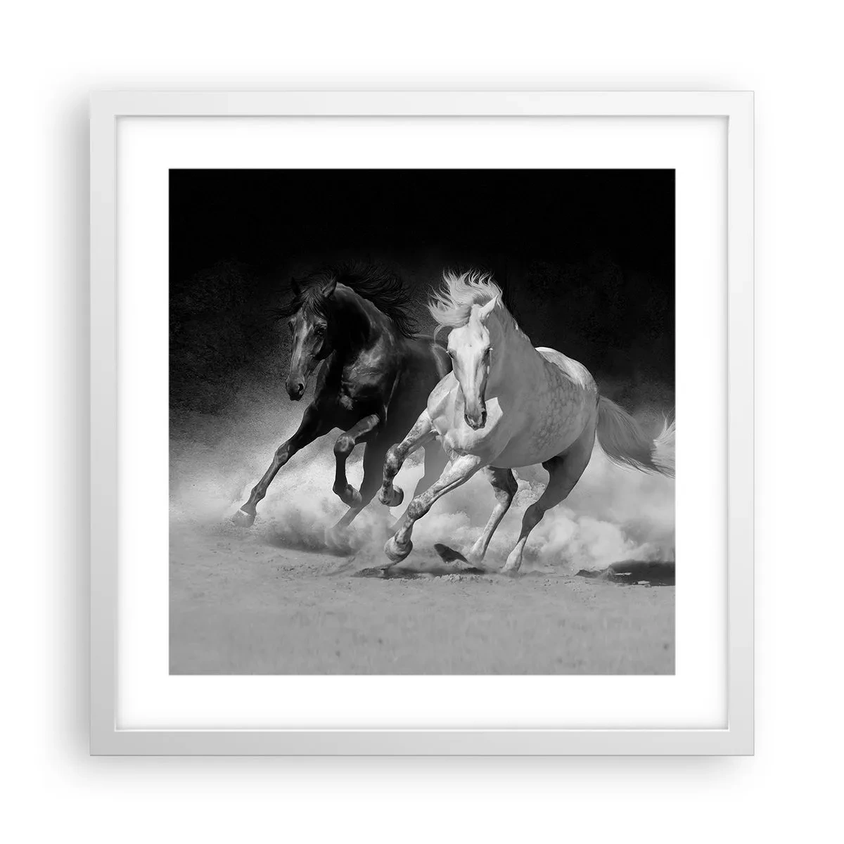 Poster în ramă albă - Galopul libertății - 40x40 cm