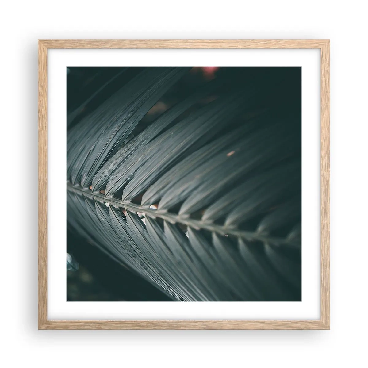 Poster în ramă de stejar deschis - Precizia naturii - 50x50 cm