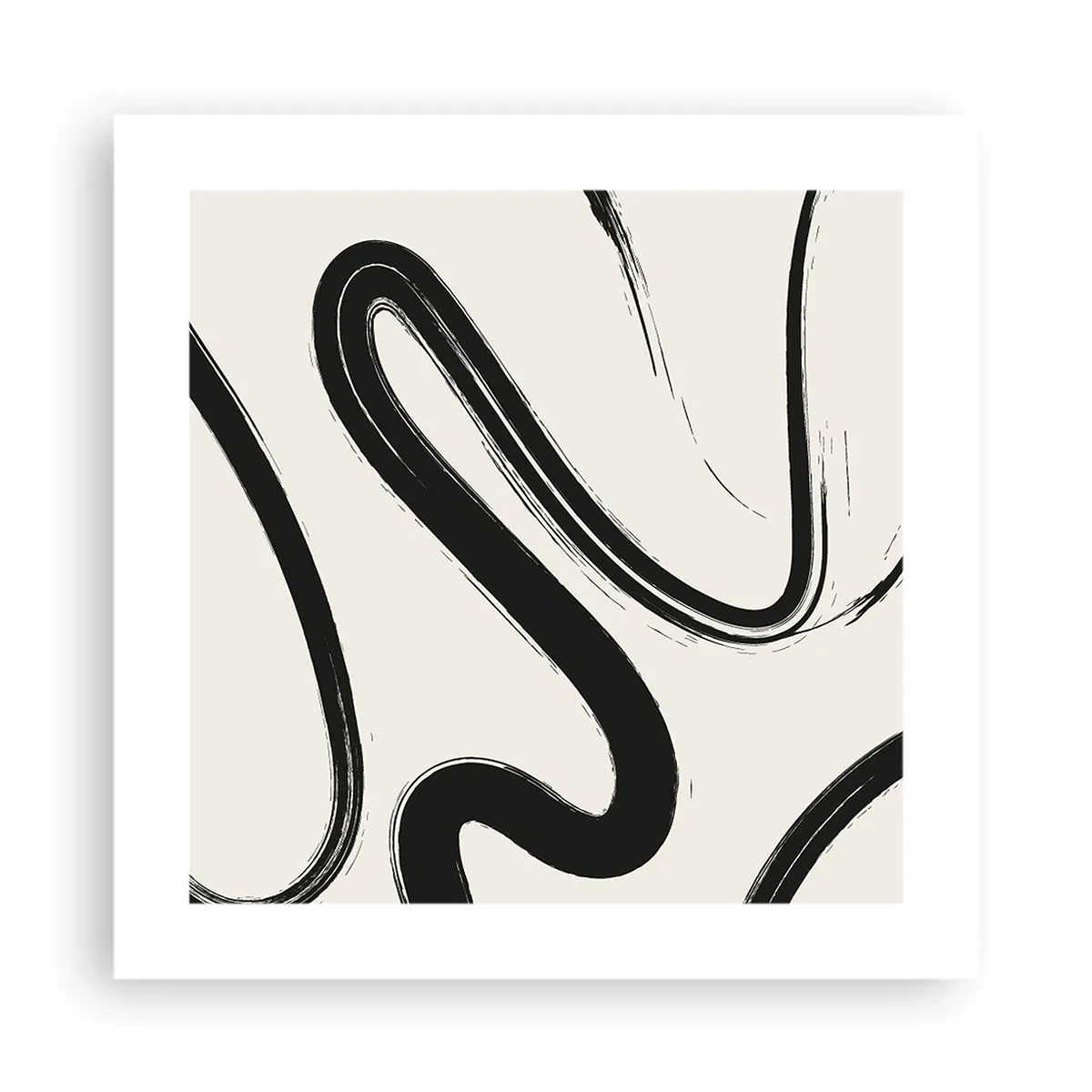 Poster - Capriciu în alb și negru - 40x40 cm