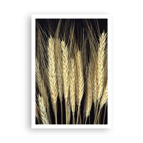 Poster - Magie rustică - 70x100 cm