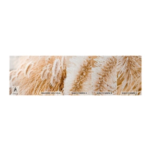Mostră tapet Premium Sand - Foșnetul auriu al ierburilor - Iarbă de pampas, luncă, Natură - 100x30 cm