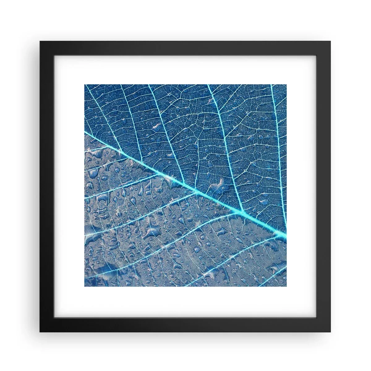 Poster în ramă neagră - Viața în albastru - 30x30 cm