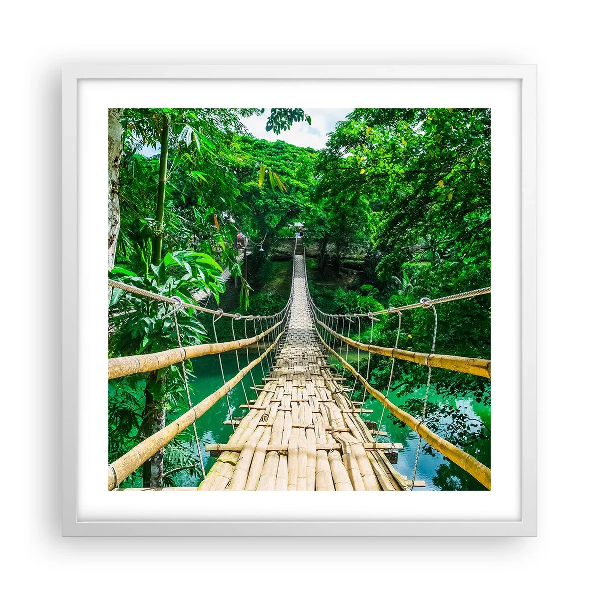 Poster în ramă albă - Pod de maimuțe peste verdeață - 50x50 cm