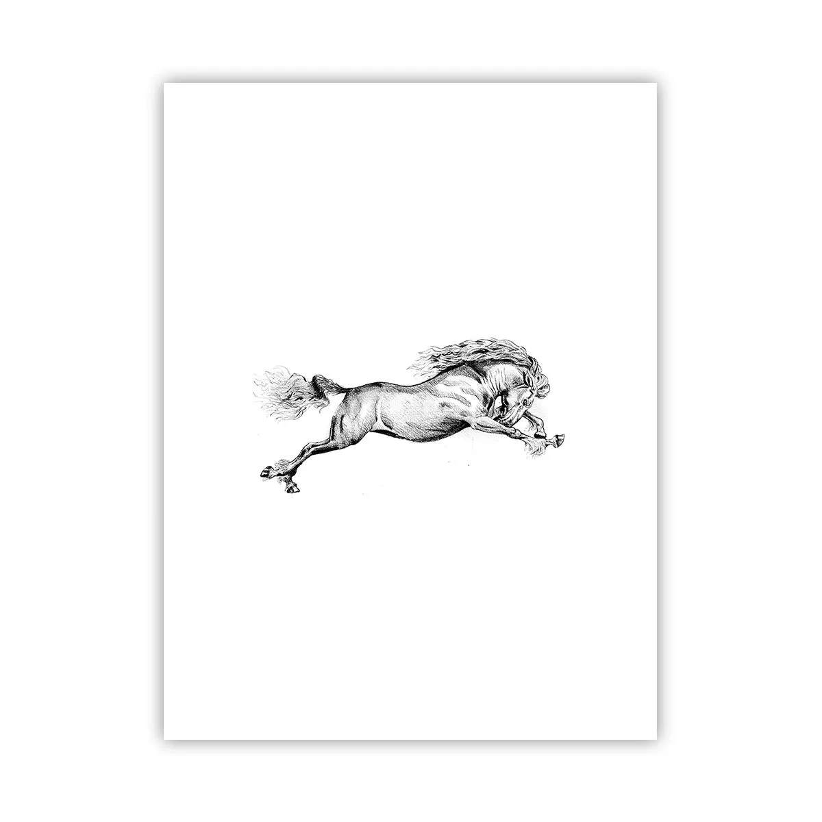 Poster - Oprit din galop - 30x40 cm