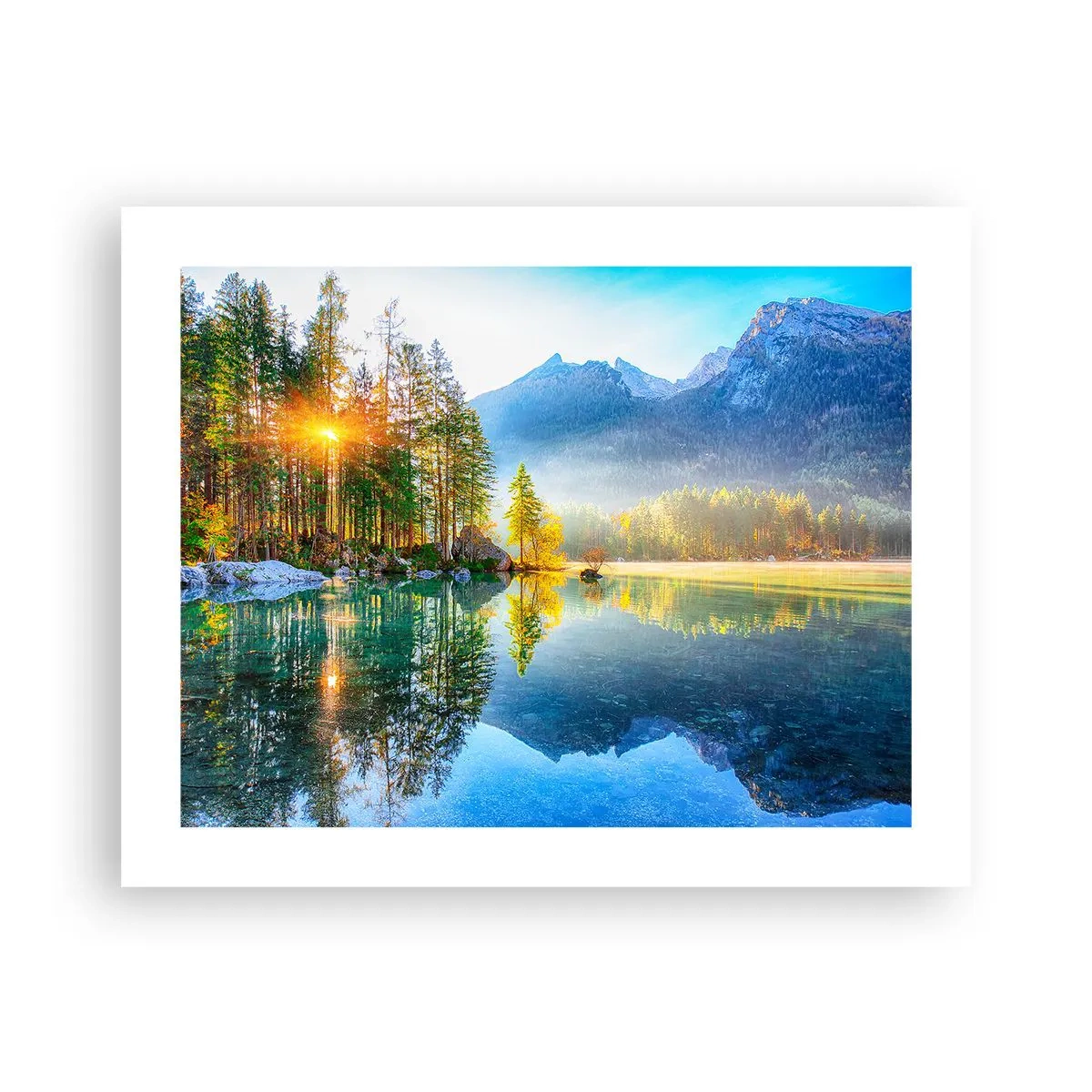 Poster - Maiestate și dulceață - 50x40 cm