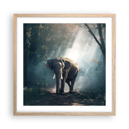 Poster în ramă de stejar deschis - O plimbare liniștită - 50x50 cm