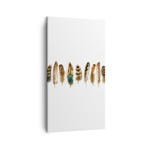 Tablou pe pânză - Variație cu pene - 45x80 cm