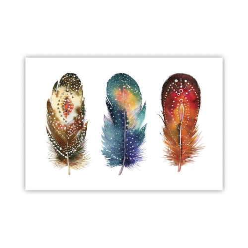 Poster - Ritualuri, rituri, mistere - 91x61 cm