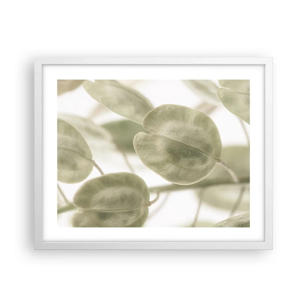 Poster în ramă albă - La început au fost frunzele... - 50x40 cm