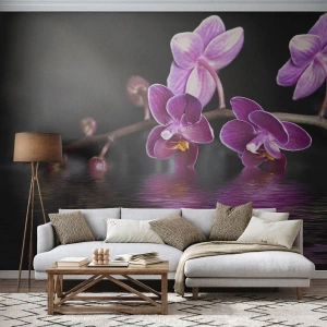 Tapet Premium Canvas - Reflecție de frumusețe în liliac - Flori, Orhidee, Natură - 400x280 cm