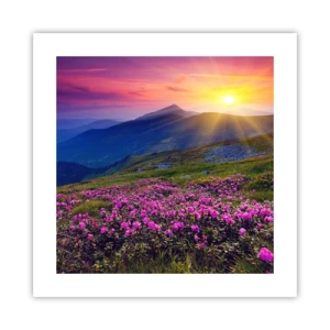 Poster - ... Și peste tot în jur se simte un miros de jneapăn și parfum de ierburi... - 40x40 cm
