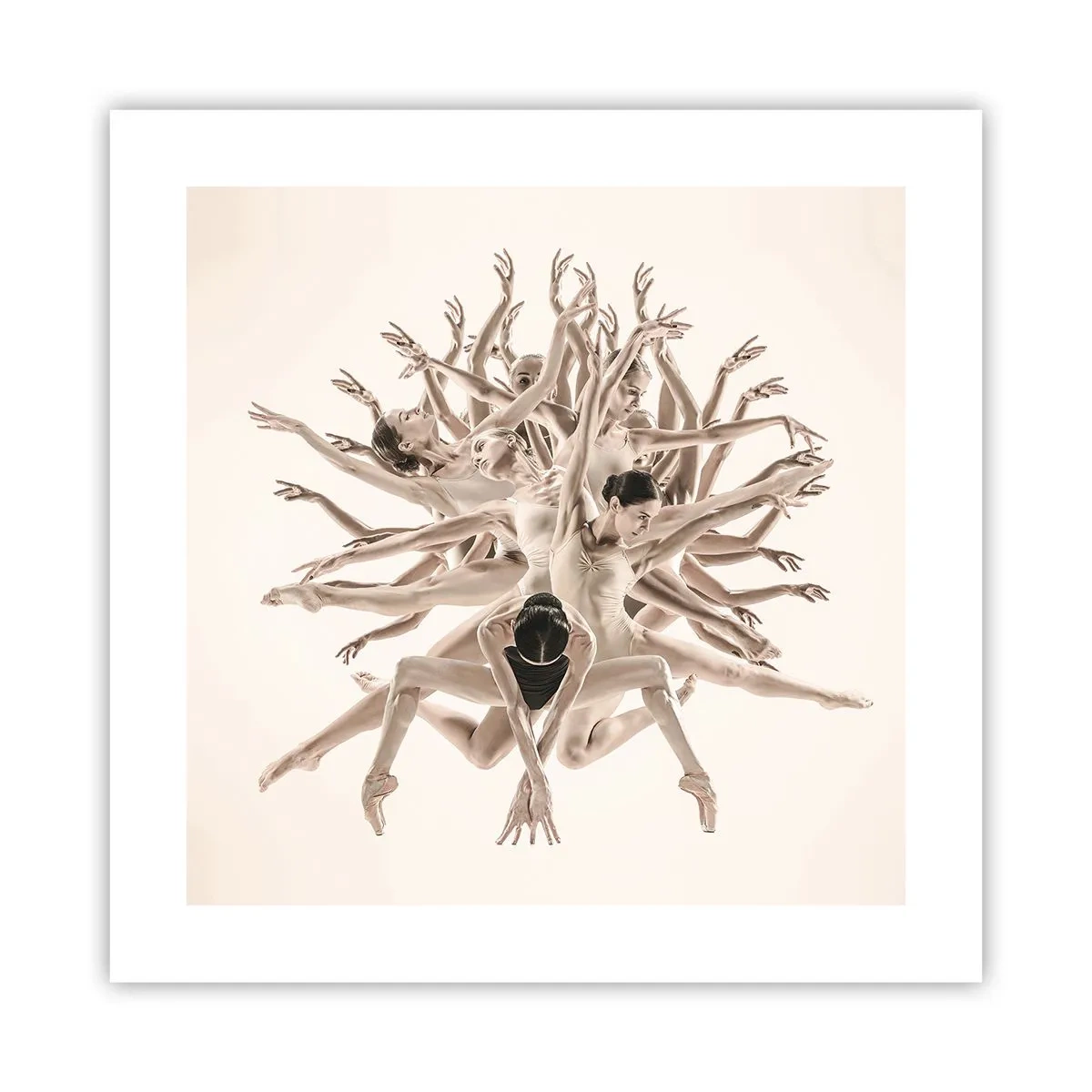 Poster - Înflorirea în dans - 40x40 cm