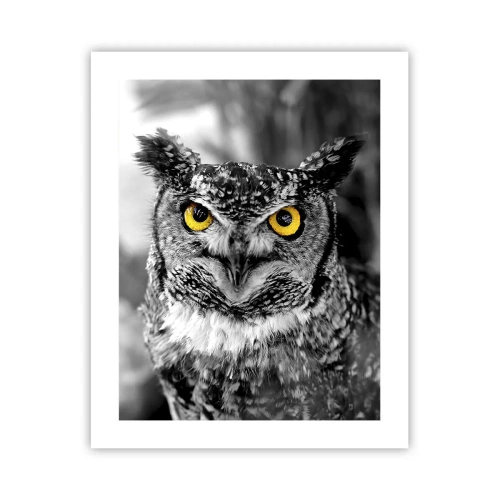 Poster - Nimic nu poate fi ascuns - 40x50 cm