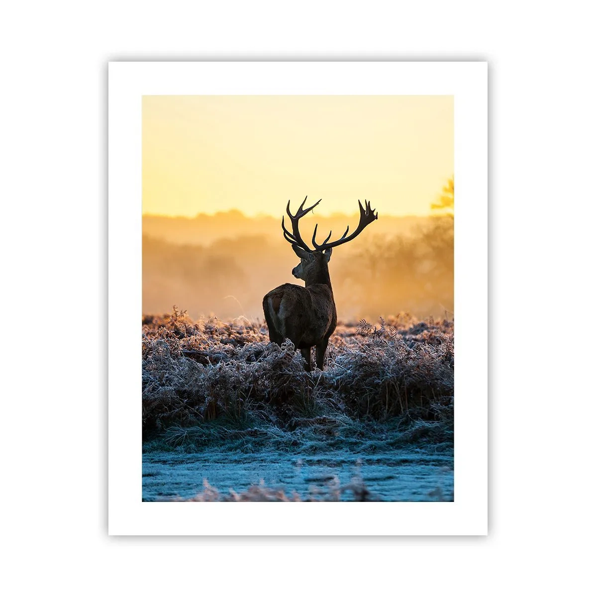 Poster - Încoronat pe domeniul său - 40x50 cm