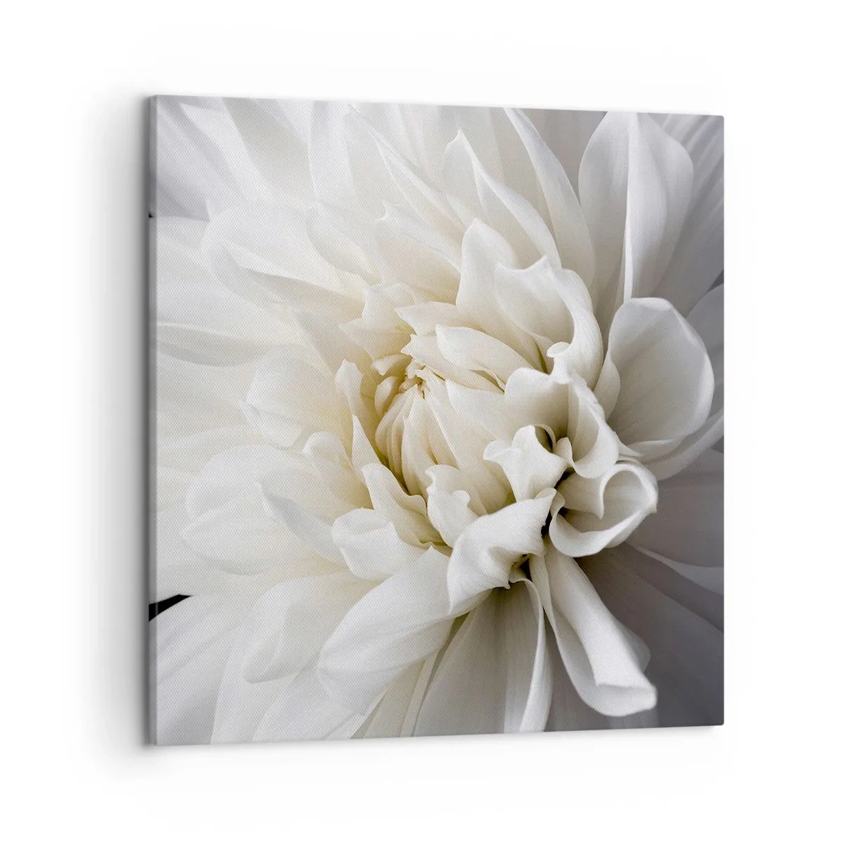 Tablou pe pânză - Dimineața miresei - 50x50 cm