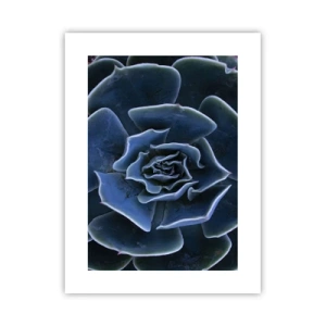 Poster - Floare de deșert - 30x40 cm