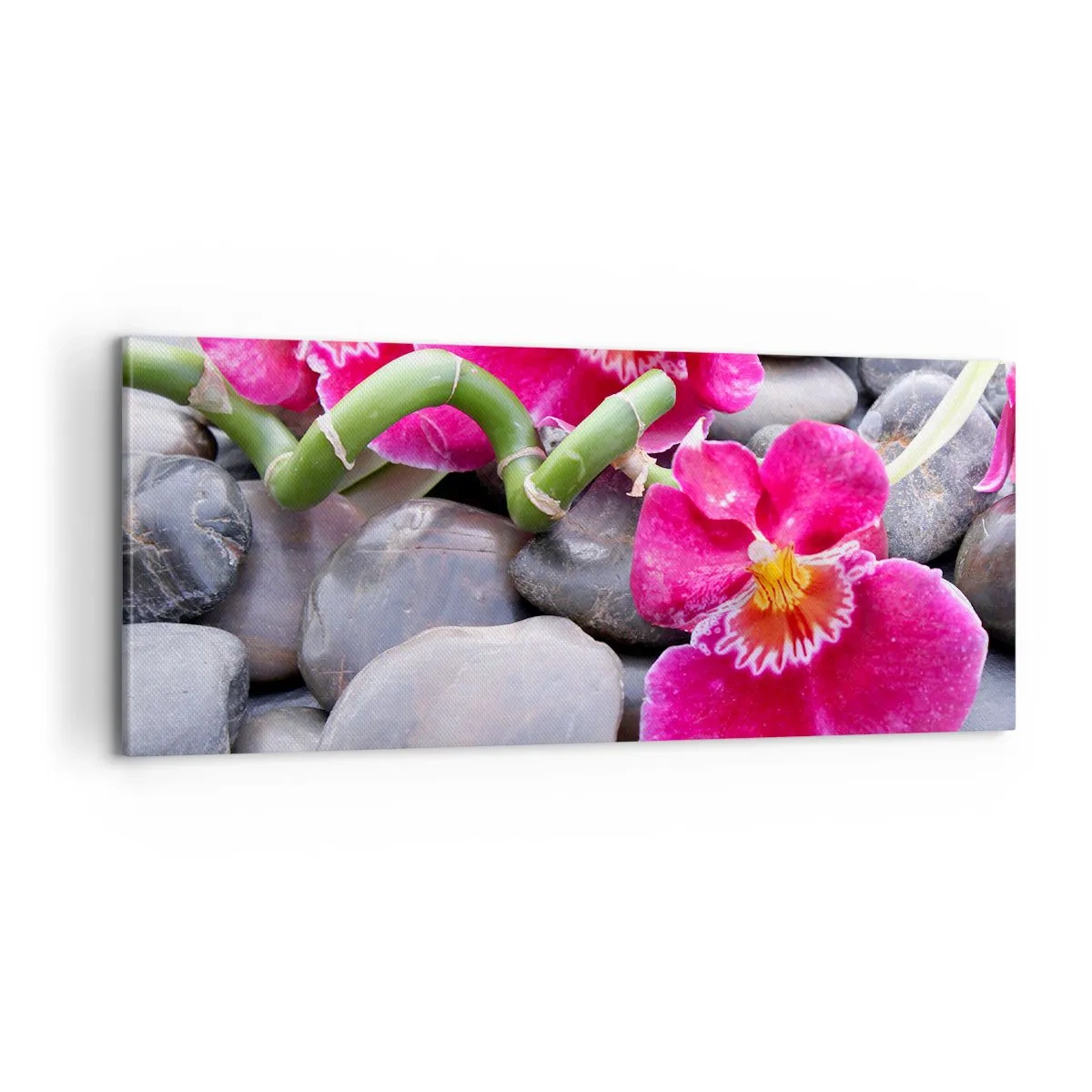 Tablou pe pânză - Frig și căldură - 100x40 cm