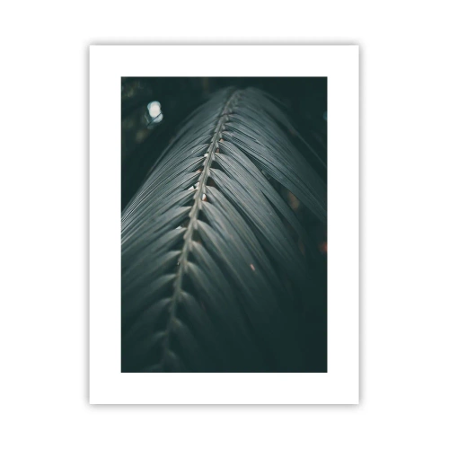 Poster - Precizia naturii - 30x40 cm