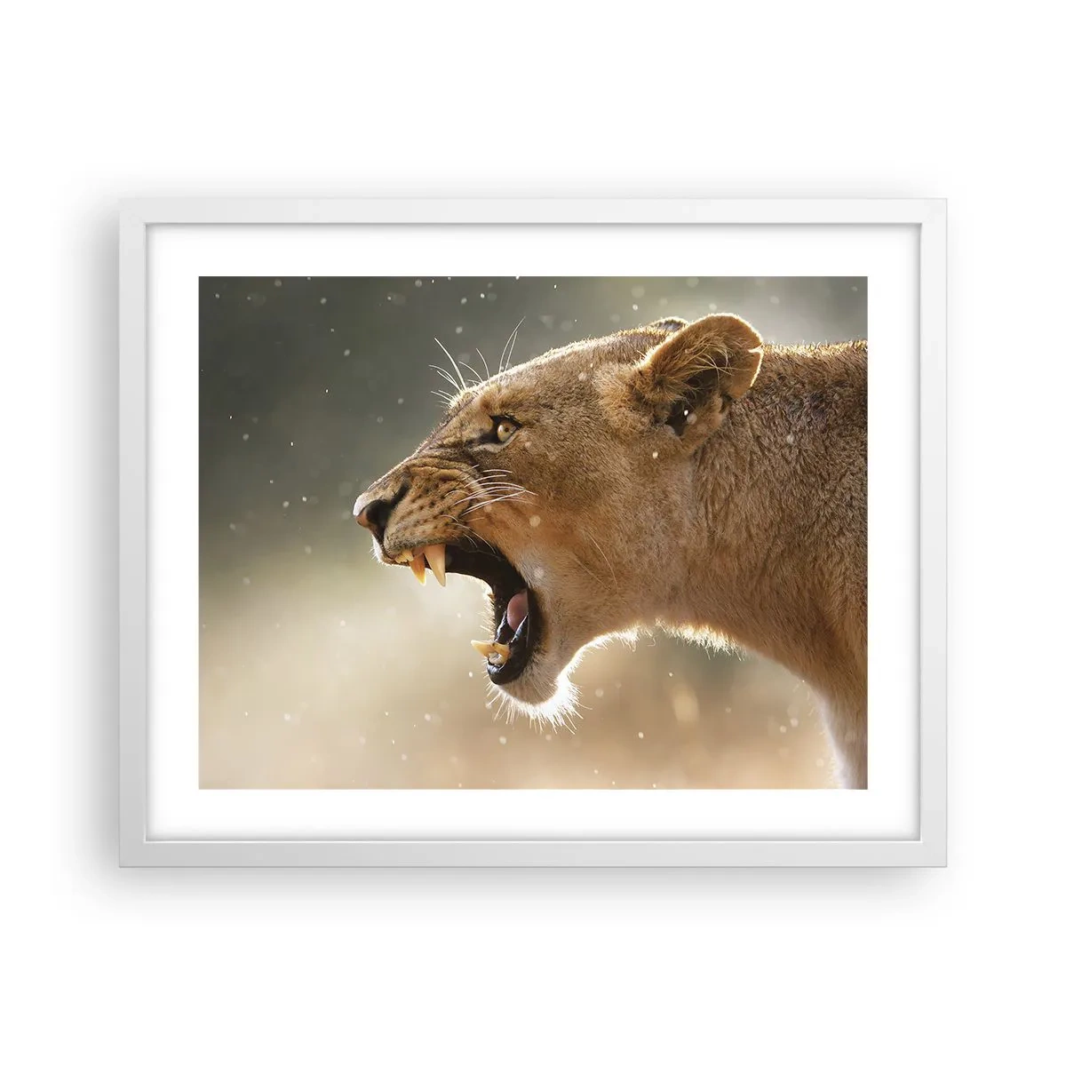Poster în ramă albă - Încearcă să nu asculți - 50x40 cm